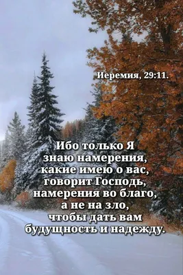 Лучшие идеи (900+) доски «христианские картинки» в 2023 г | христианские  картинки, христианские цитаты, картинки картинки