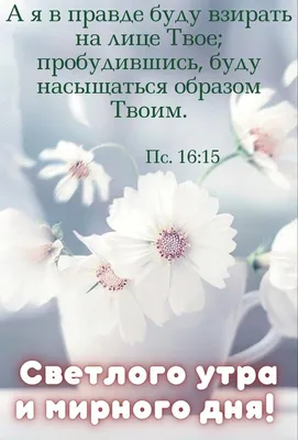 Идеи на тему «Доброе утро)))» (900+) в 2023 г | доброе утро, открытки,  христианские картинки картинки