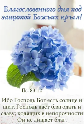 Идеи на тему «Доброе утро)))» (900+) в 2023 г | доброе утро, открытки,  христианские картинки картинки