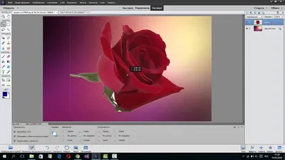 Как объединить и наложить картинки в Adobe Photoshop - YouTube картинки