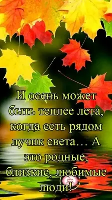 46) Однокласники | Счастливые картинки, Позитивные цитаты, Позитивные мысли картинки