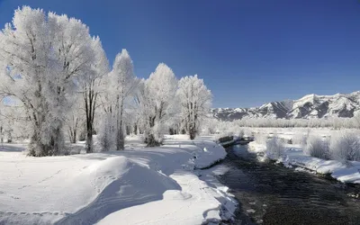 Картинки на рабочий стол зимы красивые картинки