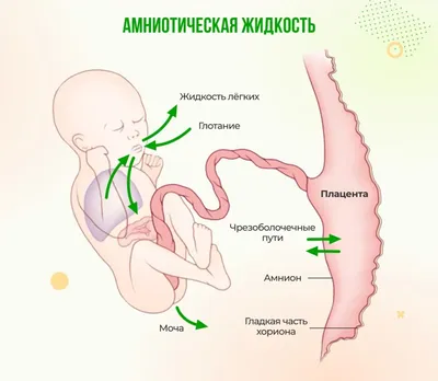 Таблица нормы индекса амниотической жидкости (ИАЖ) на УЗИ по неделям  беременности картинки