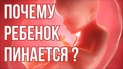 Развитие Плода 11-25 Неделя Беременности. - YouTube картинки