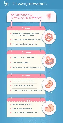 Второй месяц беременности: изменения в женском организме и развитие плода  по неделям – в картинках - agulife.ru картинки