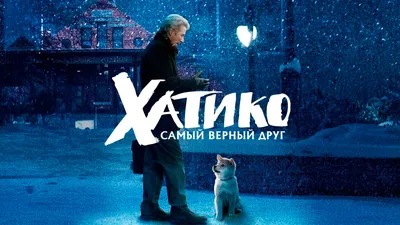 Тихая гавань (фильм, 2013) — смотреть онлайн в хорошем качестве Full HD  (1080) или HD (720) картинки