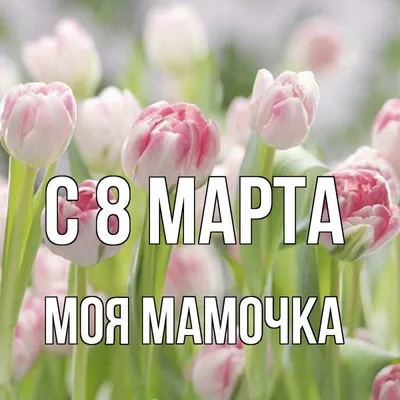 Открытка с именем Моя мамочка С 8 МАРТА картинки. Открытки на каждый день с  именами и пожеланиями. картинки