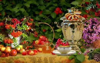 Обои цветы, яблоки, натюрморт, flowers, рябина, still life, apples,  mountain ash, Samovar, Самовар картинки на рабочий стол, раздел еда -  скачать картинки