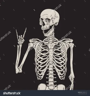 Human skeleton posing isolated over black background vector illustration |  Skeleton drawings, Skeletons wallpaper aesthetic, Cute skeleton картинки