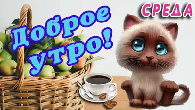 СРЕДА! 🌞 ДОБРОГО УТРА / ДОБРОЕ УТРО / С ДОБРЫМ УТРОМ / ДОБРОГО УТРА  ЛЮБИМОЙ / ДОБРОЕ УТРО КАРТИНКИ - YouTube картинки