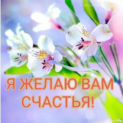 Н-ский Академгородок on Twitter: \ картинки