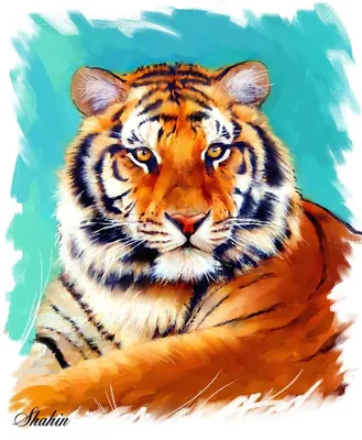 Картинки по запросу уссурийский тигр рисунок | Tiger painting, Big cats,  Siberian tiger картинки