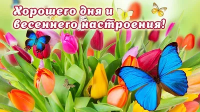 😃 Добрый день, весенние картинки, открытки, пожелания. Скачать бесплатно картинки