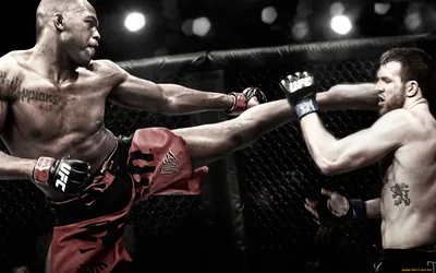 Обои UFC Спорт Mix Fight, обои для рабочего стола, фотографии ufc, спорт,  mix, fight, драки, бои, без, правил Обои для рабочего стола, скачать обои  картинки заставки на рабочий стол. картинки
