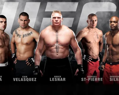 Обои ufc, ммa, логотип, раздел Спорт, размер 1920x1200 HD WUXGA - скачать  бесплатно картинку на рабочий стол и телефон картинки