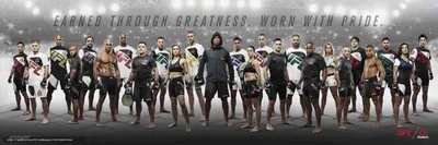 Скачать обои mma, ufc, fighters, champions бесплатно для рабочего стола в  разрешении 18750x6250 — картинка №652980 картинки