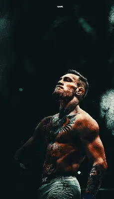 21+ Ufc обои на телефон от abram11 картинки