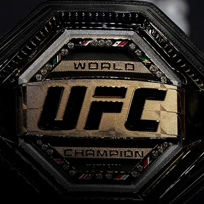 Морено сенсационно победил Фигередо и стал новым чемпионом UFC - РИА  Новости Спорт, 13.06.2021 картинки