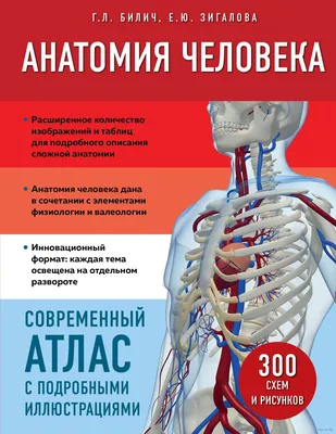 Анатомия человека. Современный атлас с подробными иллюстрациями» Габриэль  Билич, Елена Зигалова - купить книгу «Анатомия человека. Современный атлас  с подробными иллюстрациями» в Минске — Издательство Эксмо на OZ.by картинки