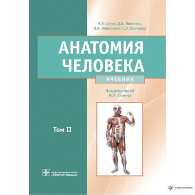 Анатомия человека. Учебник. Том II, В. Н. Николенко, ГЭОТАР-Медиа купить  книгу 978-5-9704-6157-0 – Лавка Бабуин, Киев, Украина картинки