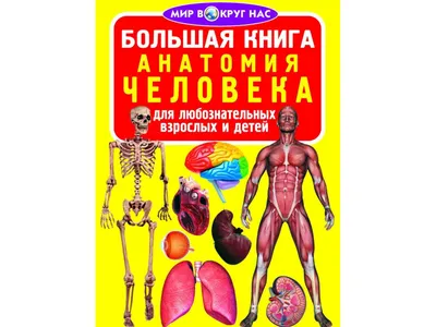 Купить Большая книга. Анатомия человека. Crystal Book F00014411 недорого картинки