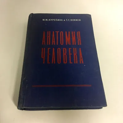 Винтаж: Книга Анатомия человека СССР 1957 год – купить онлайн на Ярмарке  Мастеров – PCUKQRU | Книги винтажные, Москва картинки