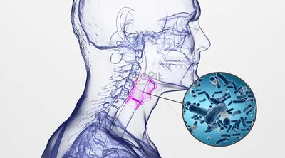 Seidhe: Итоги 2022 года. Лучшее из прочитанного за год. картинки