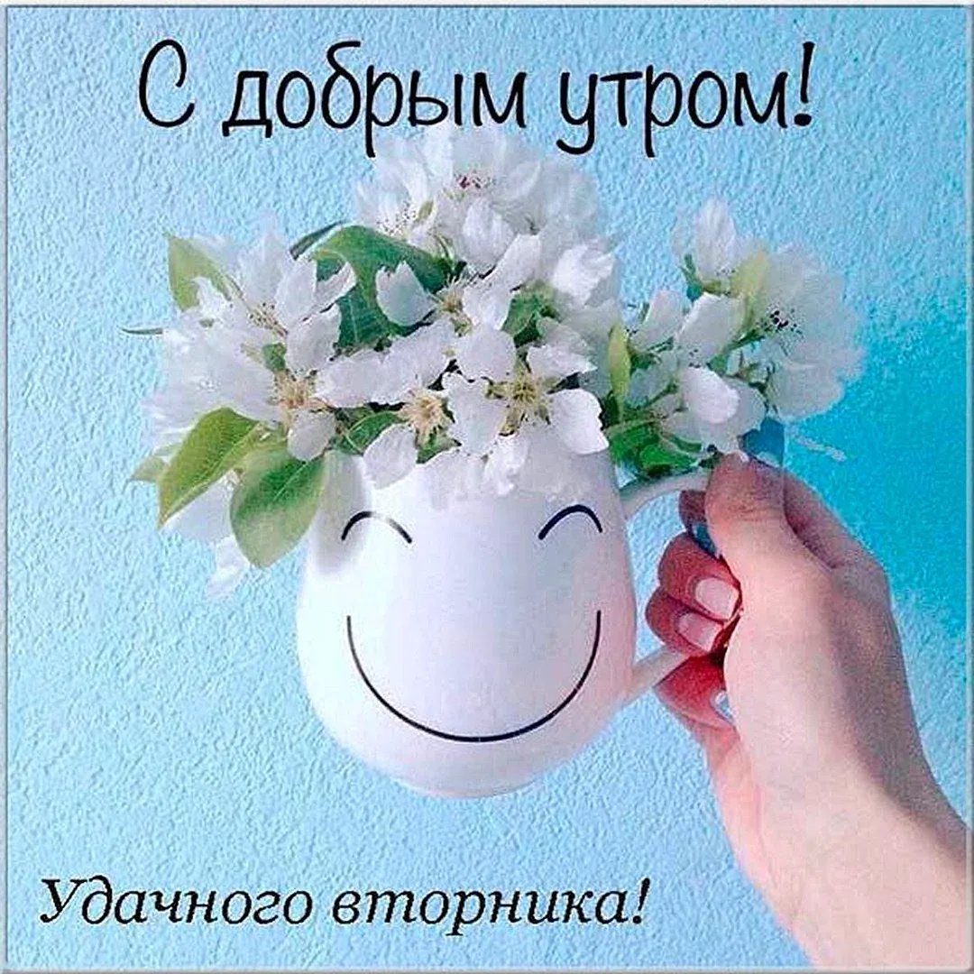 Вторник доброе утро и хорошего дня