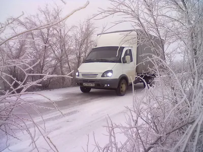 фото с телефона — ГАЗ Газель, 2,4 л., 2008 года | фотография | DRIVE2 картинки