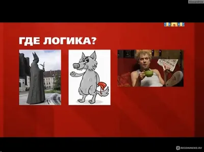 Где логика? - «Как у звезд ТНТ обстоят дела с логикой? » | отзывы картинки