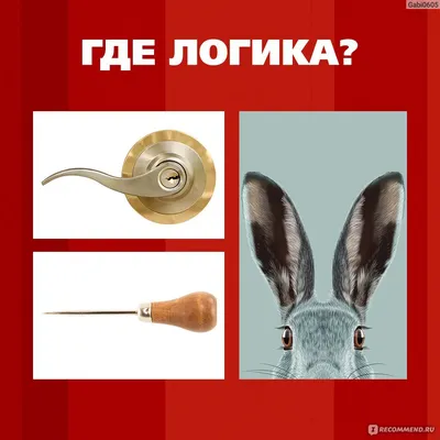 Где логика? - «Хотите проверить свою логику? Вы можете сделать это по  картинкам в отзыве!» | отзывы картинки