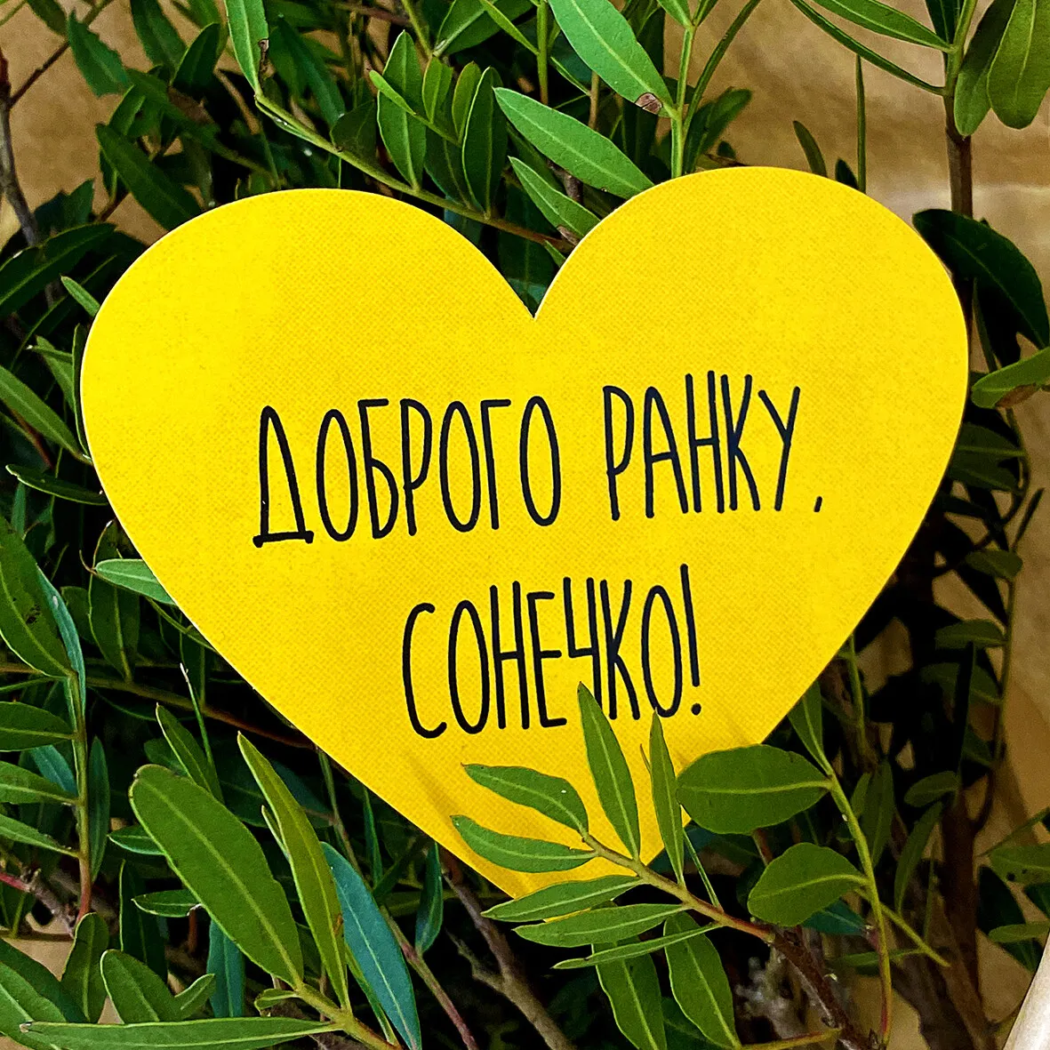 Картинки доброе