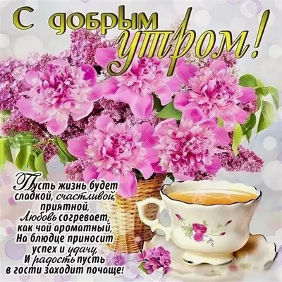 Olgа🌺🌿 on Twitter: \ картинки