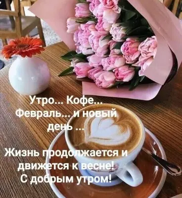 💐Olga brosh🌺💥 on Twitter: \ картинки