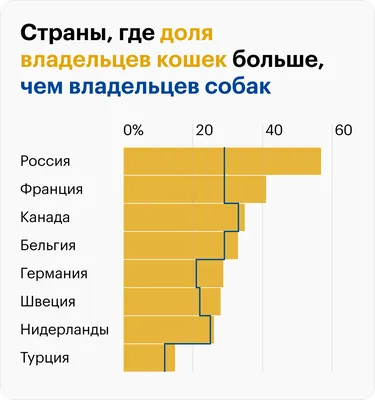 Это дух моды, детка! картинки