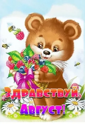 ЗДРАВСТВУЙ 🍉🍇🍎💐🍑🌿🍒🍇🍉 АВГУСТ! | Teddy bear, Teddy, Animals картинки