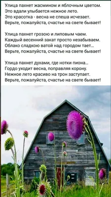 Идеи на тему «Здравствуй, лето!» (57) | лето, доброе утро, открытки картинки