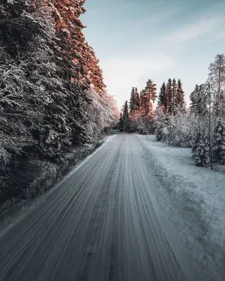 Зимние картинки на аву (60 фото) картинки