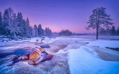 Картинка Зимний вечер на реке » Зима » Природа » Картинки 24 - скачать  картинки бесплатно картинки