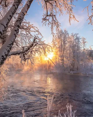 Фото Зимняя сказка природа картинки