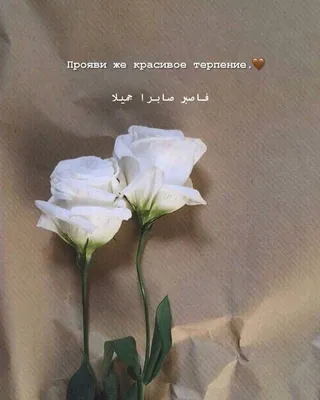 Терпение ❤️ для авы | Удивительные цитаты, Вдохновляющие цитаты,  Мусульманские цитаты картинки