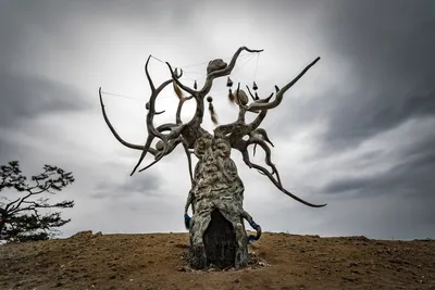 Хранитель Байкала. Фотограф Вячеслав Мельников картинки