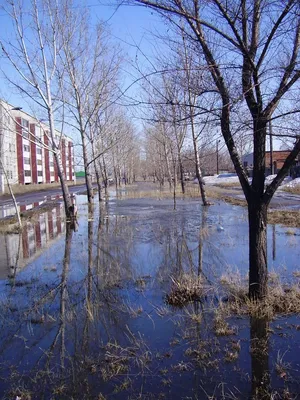 Фото весна идет, весне дорогу в городе Славгород картинки