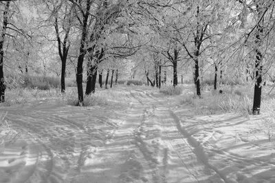 Картинки Зима скачать на рабочий стол, фотографии снег картинки