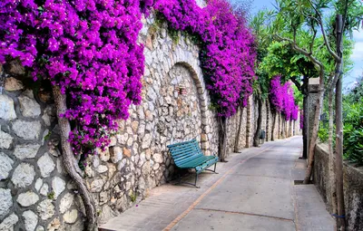 Обои деревья, цветы, city, город, скамейки, trees, улицы, красивый,  flowers, beautiful, italy, bench, streets, Италии картинки на рабочий стол,  раздел город - скачать картинки