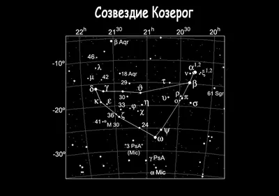 Созвездие Козерог картинки