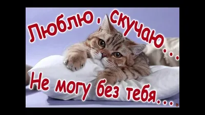 Для тебя,любимый))) - YouTube картинки