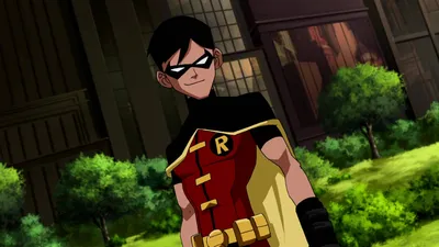 Скачать обои DC Young Justice Robin картинки