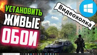 Как установить ЖИВЫЕ ОБОИ на Windows 10 - YouTube картинки