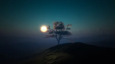 Мои обои 1920x1080 | Пикабу картинки